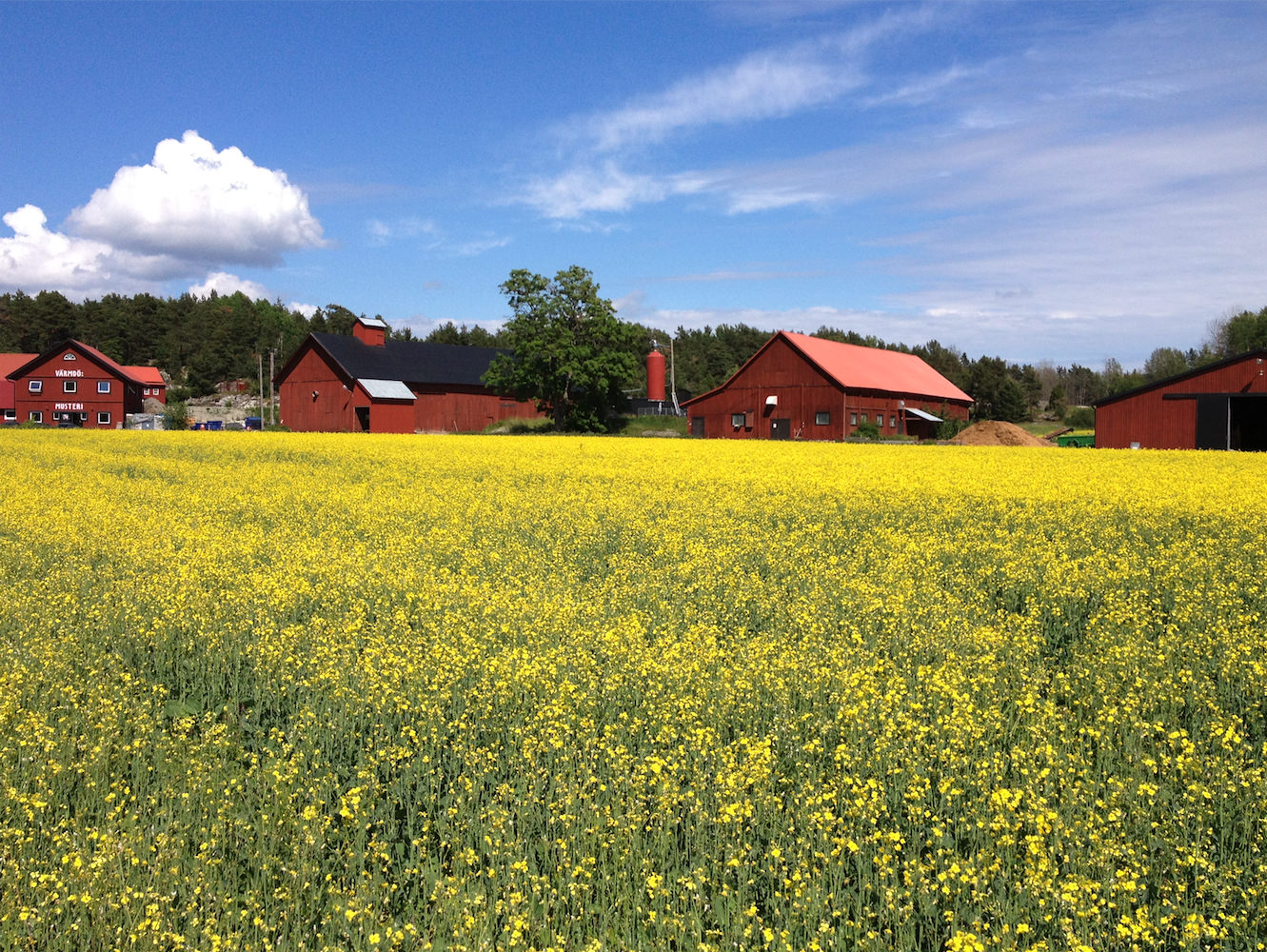 Om Plåtslagaren i Höör Skåne